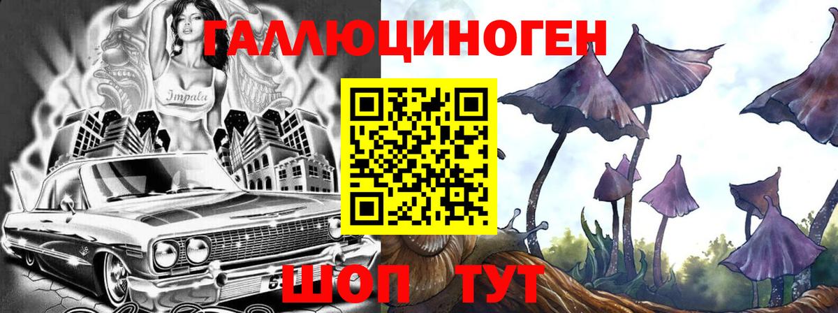 Галлюциногенные грибы Psilocybe Владикавказ