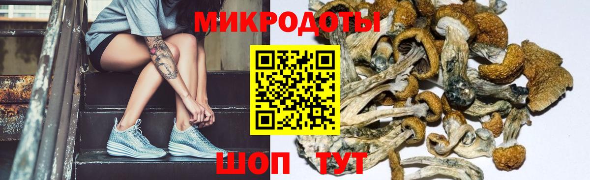 Псилоцибиновые грибы Psilocybine cubensis  Вход с VPN  наркотики  Владикавказ 